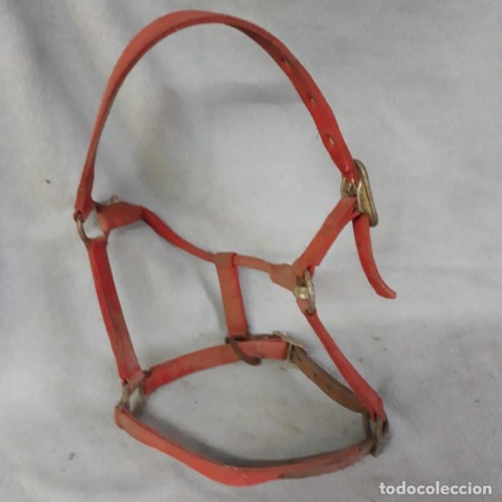 Segunda mano: Cabezada para caballo de nylon y cuero. - Foto 1
