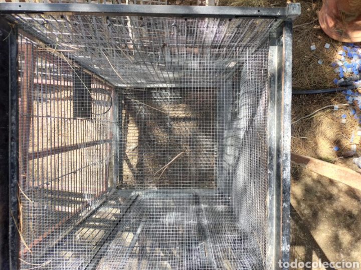 Segunda mano: Jaula para p&aacute;jaros o loros - Foto 2