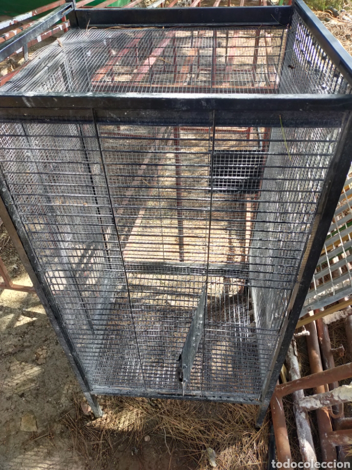 Segunda mano: Jaula para p&aacute;jaros o loros - Foto 3