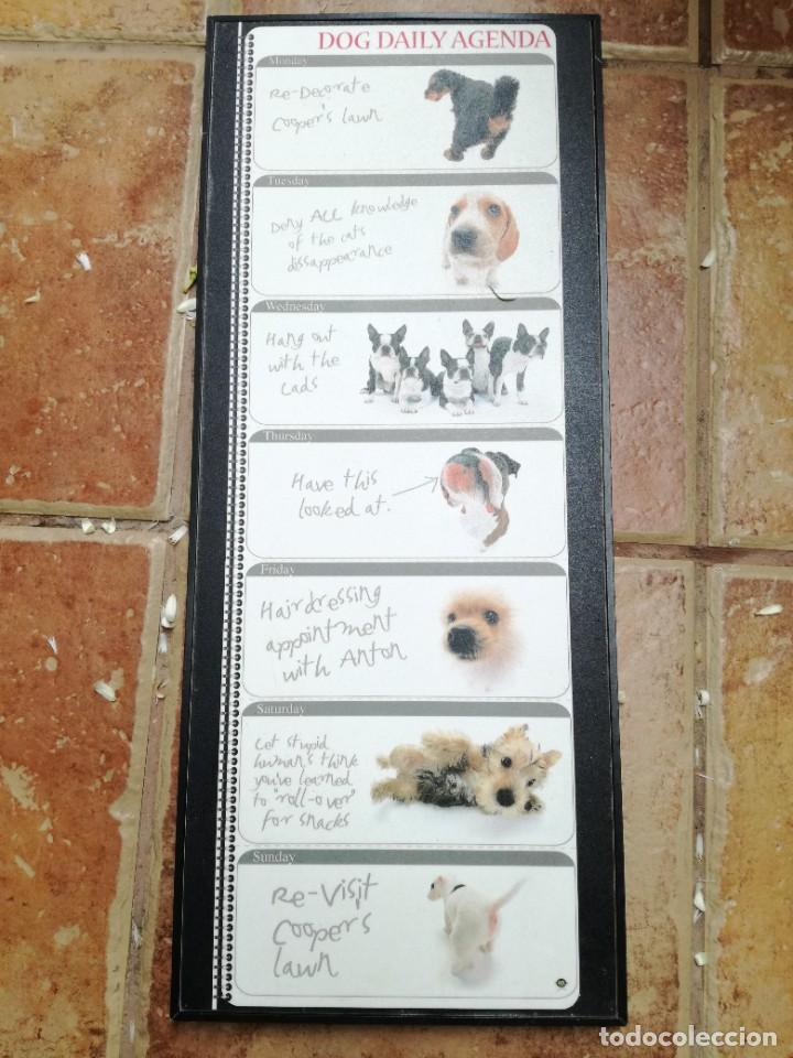 Segunda mano: CUADRO DE DECORACI&Oacute;N DE PERROS - Foto 1