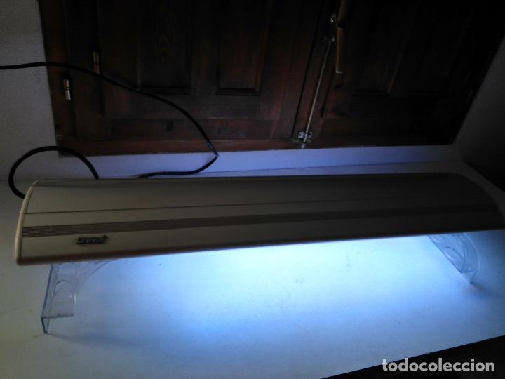 Segunda mano: Luz Acuario Pecera 80 cm Lifetech - Foto 11