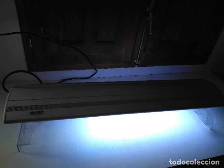Segunda mano: Luz Acuario Pecera 80 cm Lifetech - Foto 12