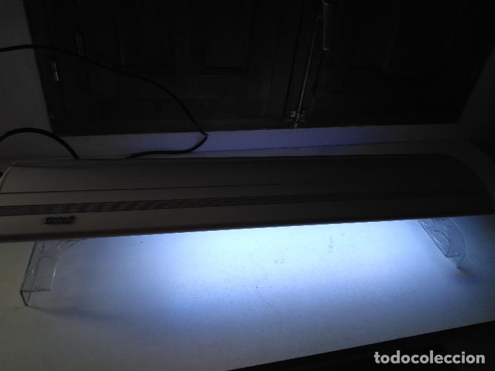 Segunda mano: Luz Acuario Pecera 80 cm Lifetech - Foto 14
