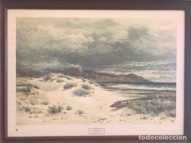 Segunda mano: L&aacute;mina enmarcada de tem&aacute;tica marina - Foto 1