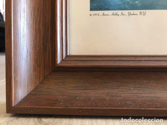 Segunda mano: L&aacute;mina enmarcada de tem&aacute;tica marina - Foto 4
