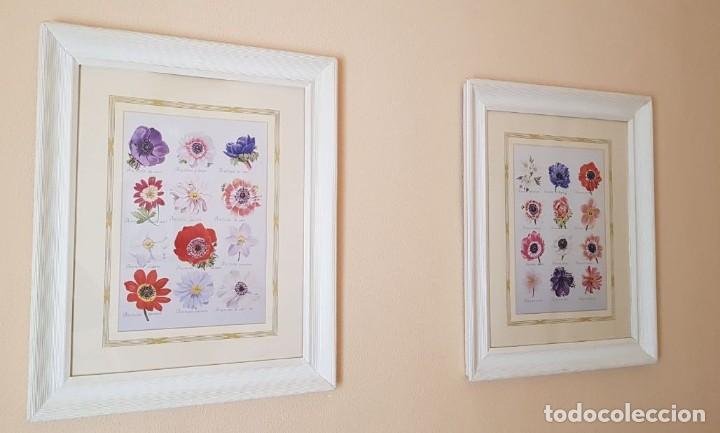 Segunda mano: Pareja de l&aacute;minas de flores - Foto 1