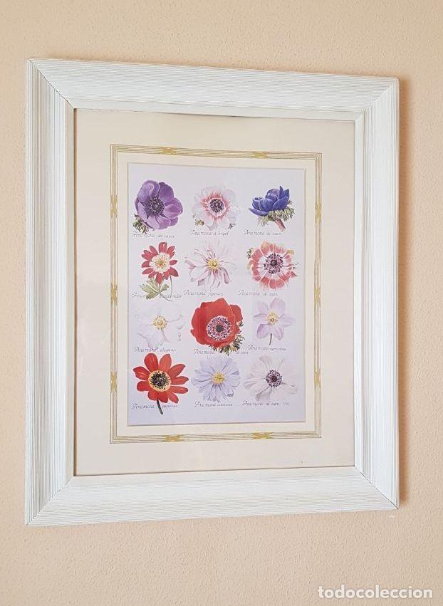 Segunda mano: Pareja de l&aacute;minas de flores - Foto 2