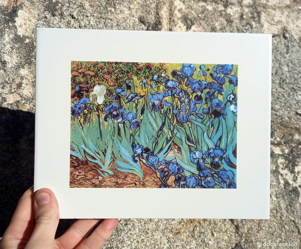 Segunda mano: Azulejo Los Lirios de Van Gogh - Foto 5