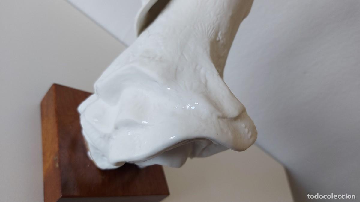 Segunda mano: FIGURA CERAMICA - Foto 14