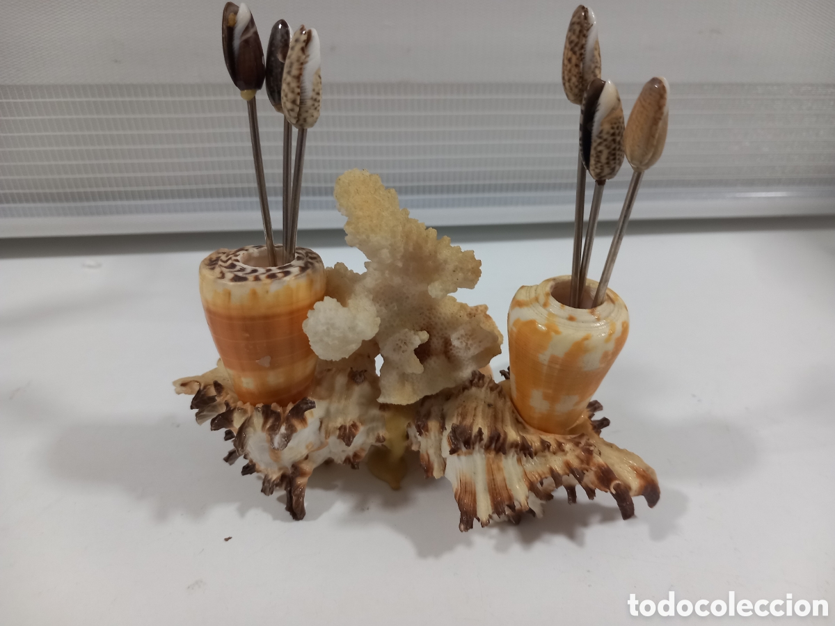 Segunda mano: PALILLERO HECHO CON CARACOLAS- MALACOLOGIA - Foto 2