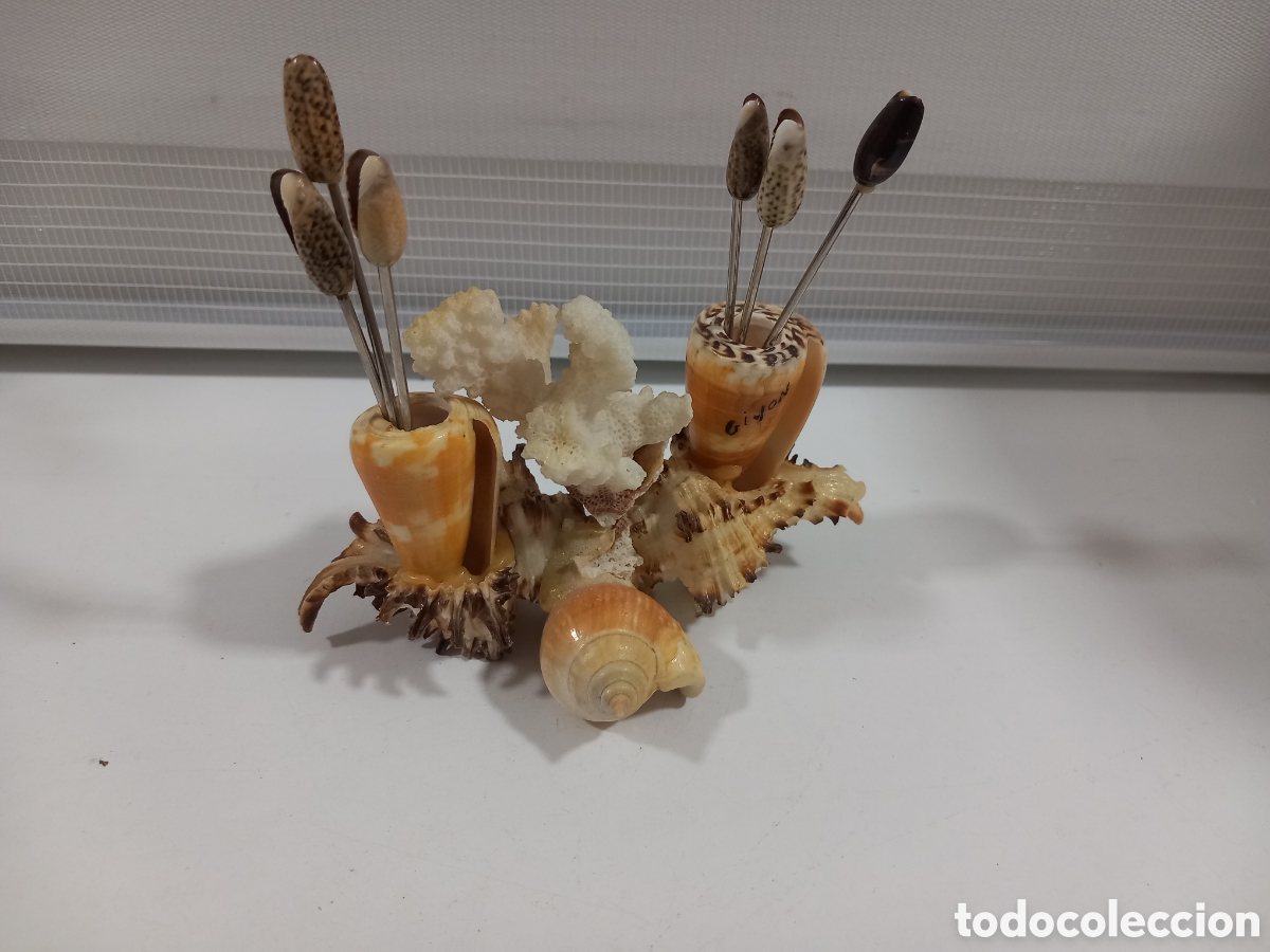 Segunda mano: PALILLERO HECHO CON CARACOLAS- MALACOLOGIA - Foto 5