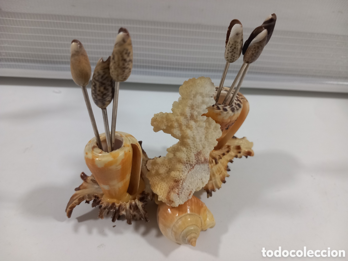 Segunda mano: PALILLERO HECHO CON CARACOLAS- MALACOLOGIA - Foto 7