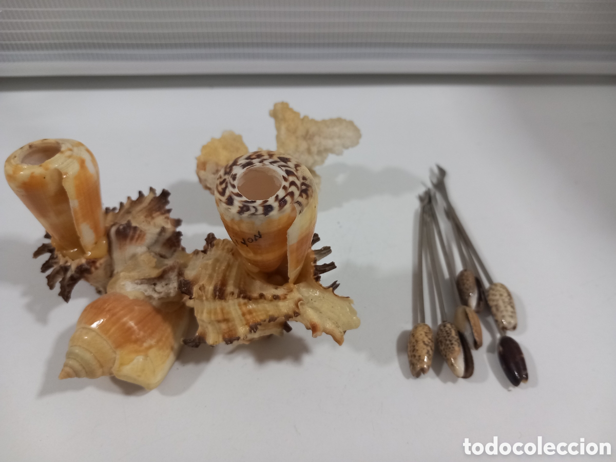 Segunda mano: PALILLERO HECHO CON CARACOLAS- MALACOLOGIA - Foto 9
