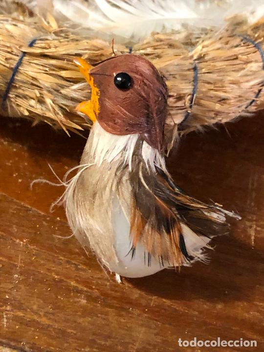 Segunda mano: NIDO DE PAJAROS CON PLUMAJE NATURAL - Foto 6