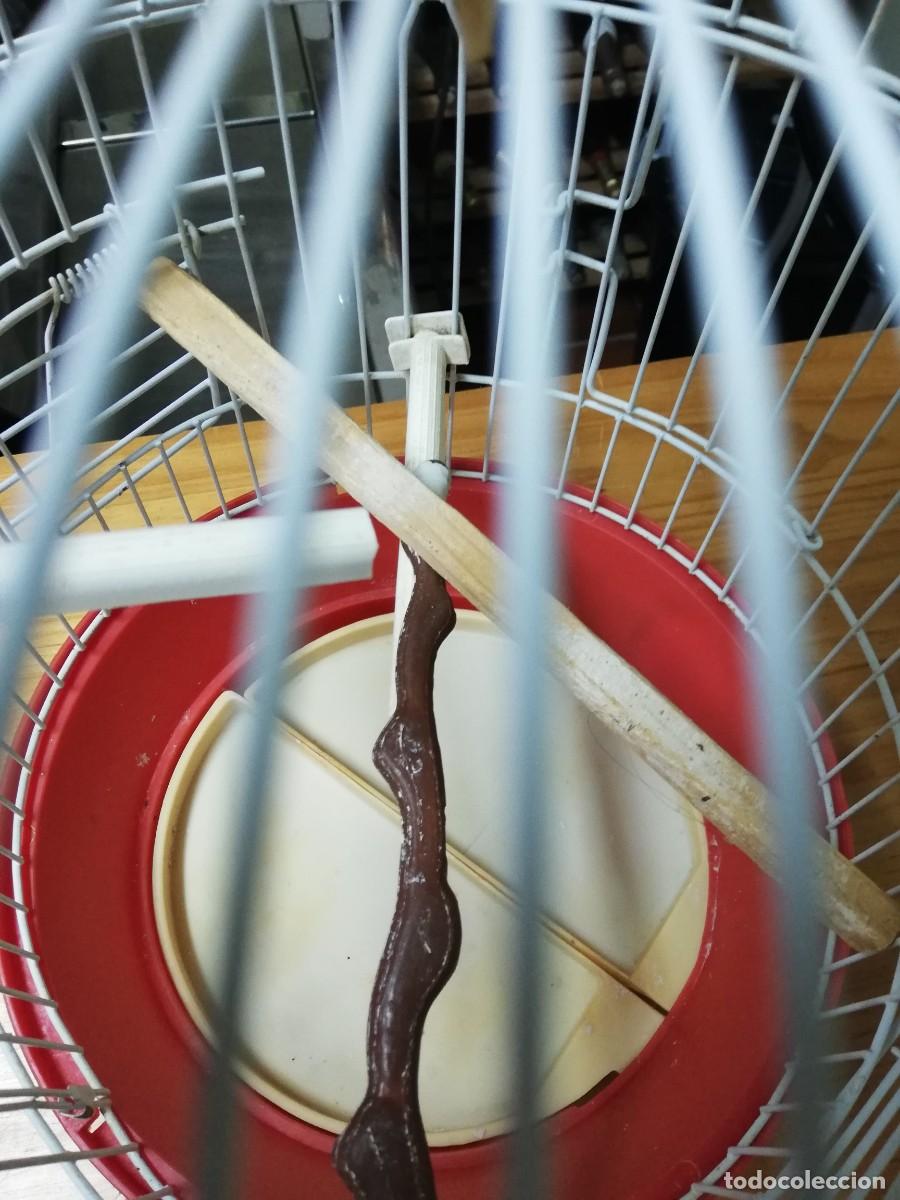 Segunda mano: JAULA PARA P&Aacute;JAROS - Foto 2