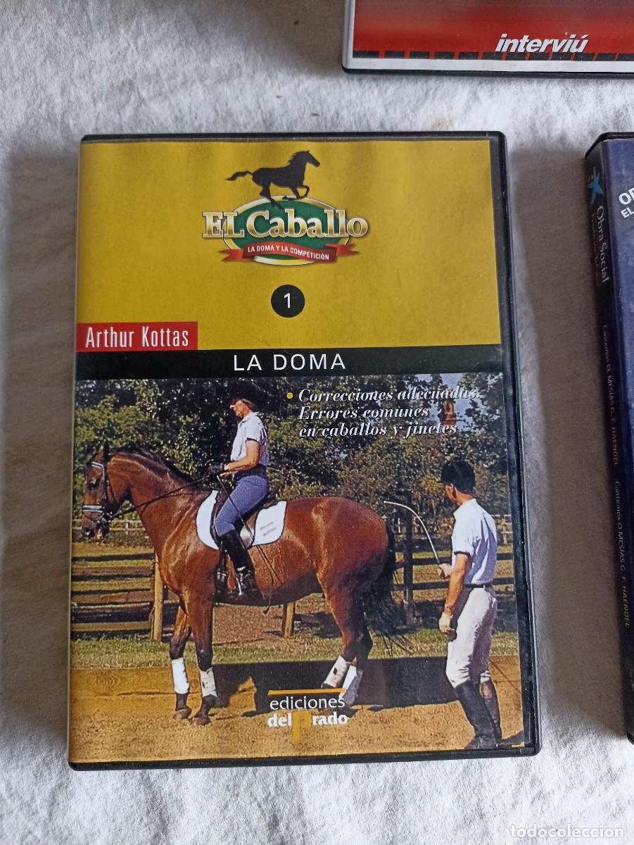 Segunda mano: Lote 3 dvd variados en espa&ntilde;ol - Foto 3