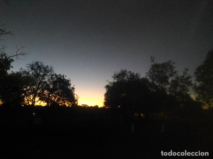 Segunda mano: Prueba Lote 2024 - Foto 3