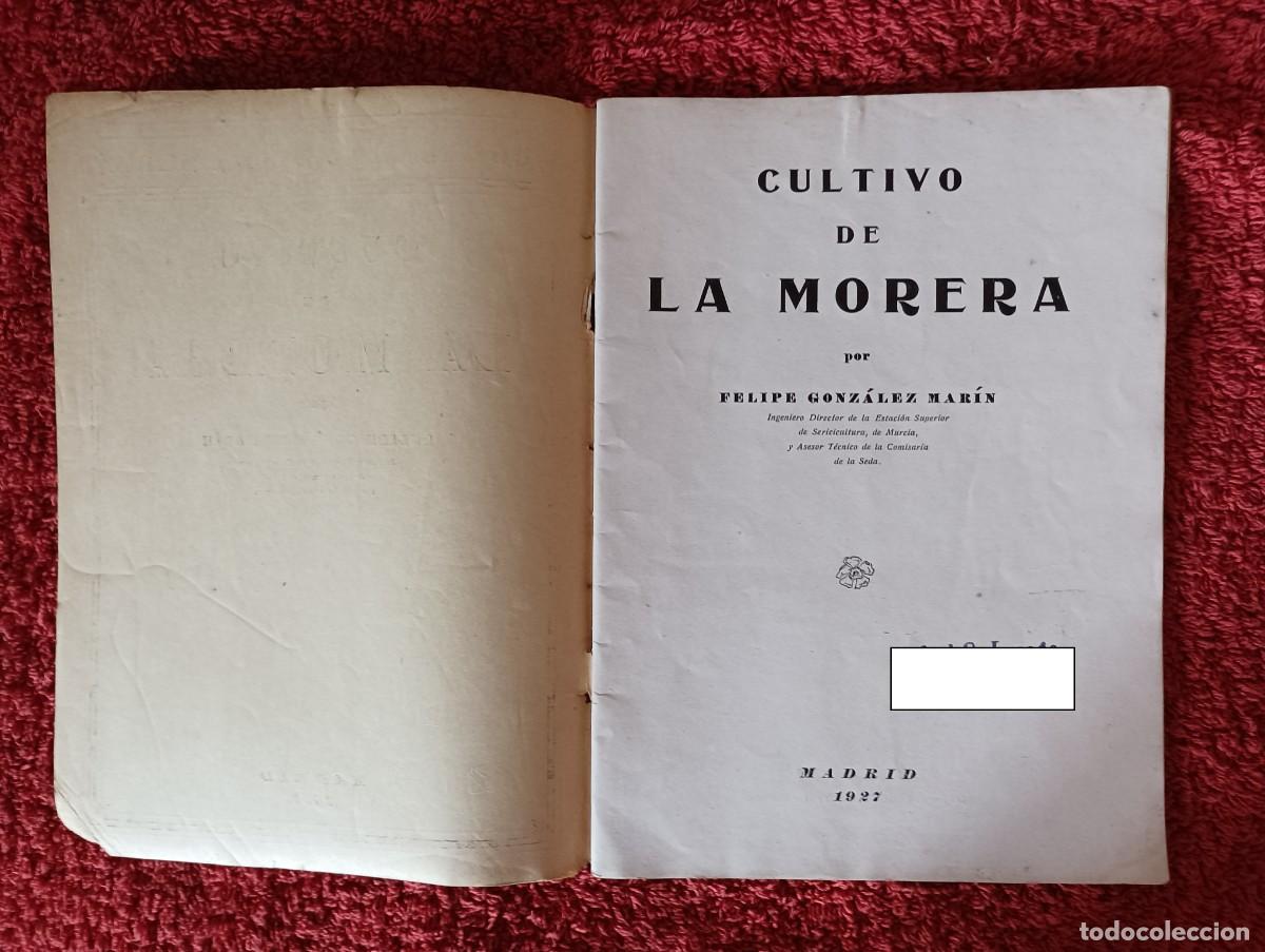 Segunda mano: COMISAR&Iacute;A DE LA SEDA - CULTIVO DE LA MORERA 1927 - Foto 3