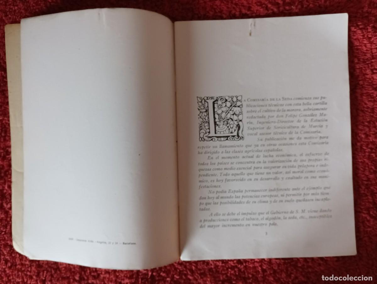 Segunda mano: COMISAR&Iacute;A DE LA SEDA - CULTIVO DE LA MORERA 1927 - Foto 4