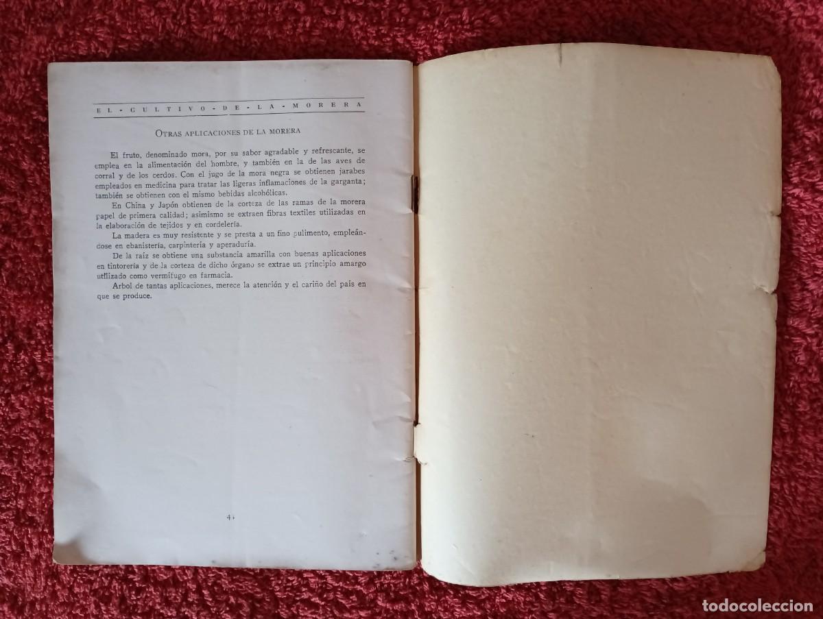 Segunda mano: COMISAR&Iacute;A DE LA SEDA - CULTIVO DE LA MORERA 1927 - Foto 11