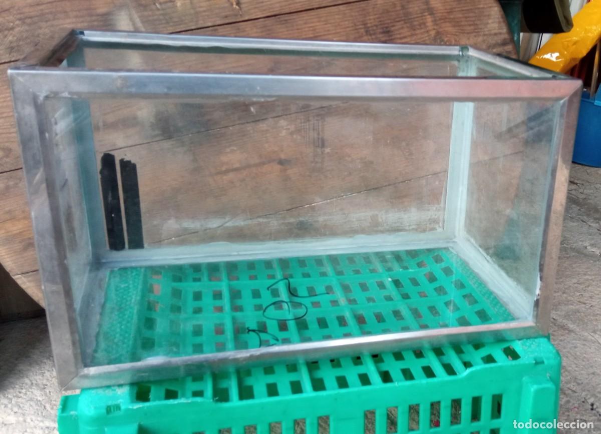 Segunda mano: Acuario 35 litros acero inoxidable - Foto 1