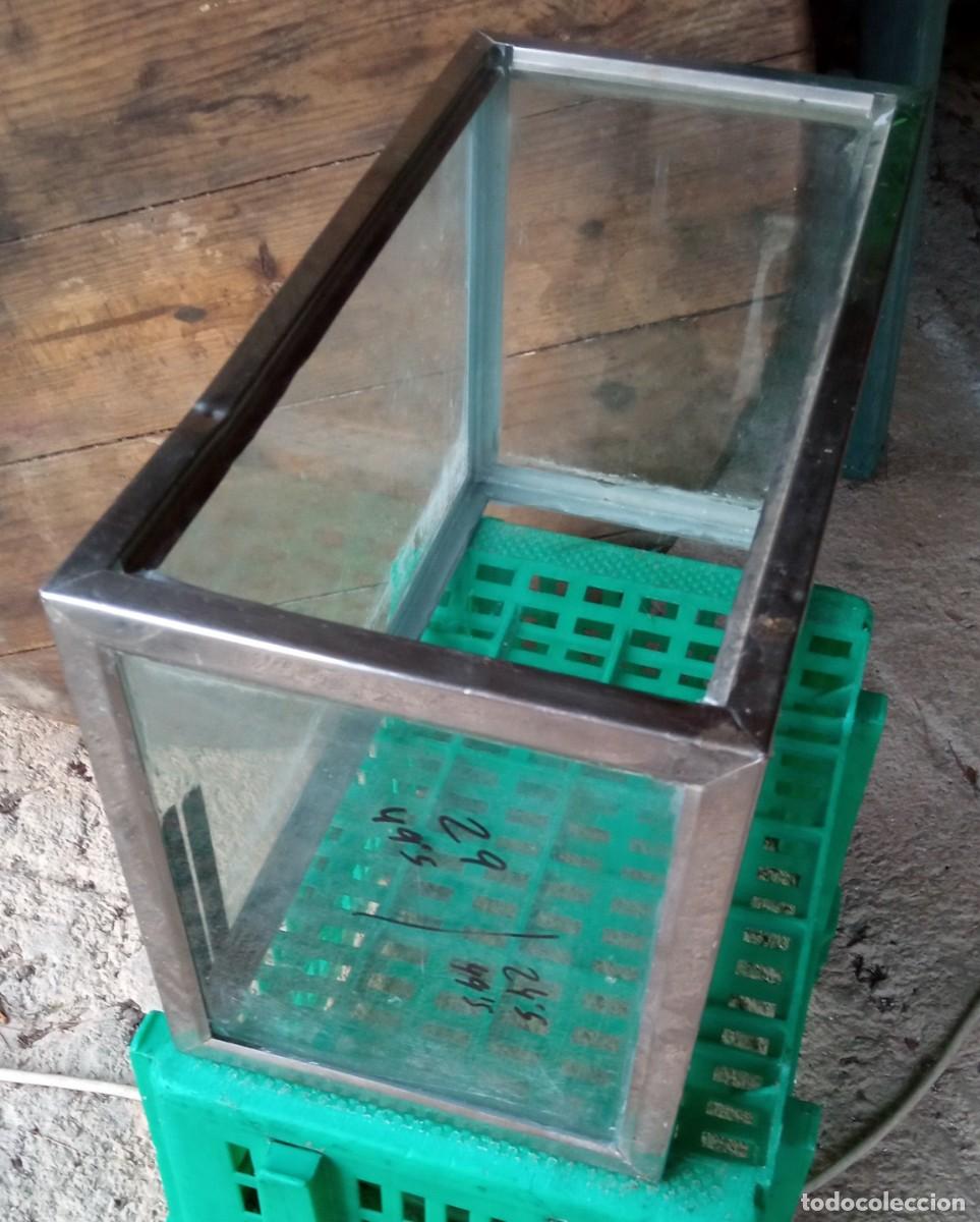 Segunda mano: Acuario 35 litros acero inoxidable - Foto 2