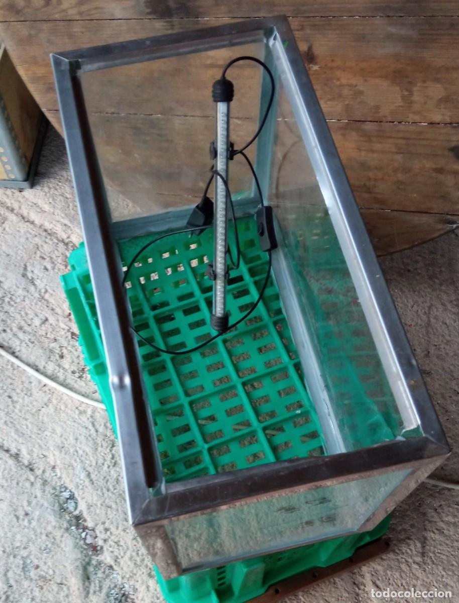 Segunda mano: Acuario 35 litros acero inoxidable - Foto 4