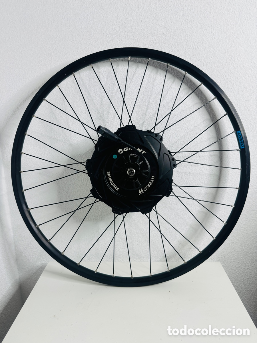 Segunda mano: Giant Hybrid Syncdrive Motor - Foto 1