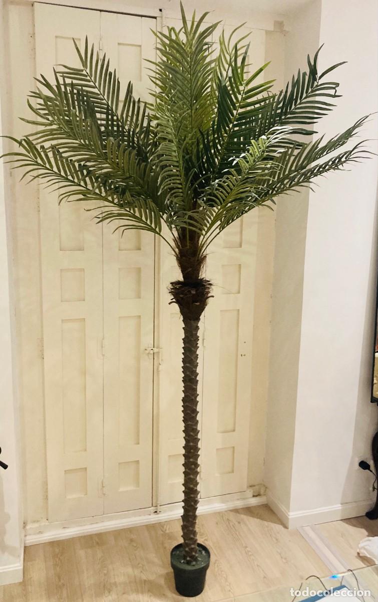 Segunda mano: Palmera Artificial. Gran Tamano - Foto 1