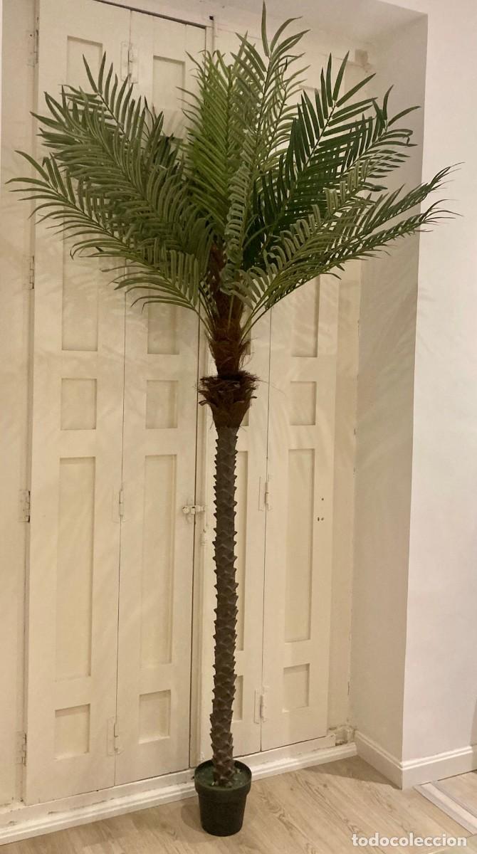 Segunda mano: Palmera Artificial. Gran Tamano - Foto 2