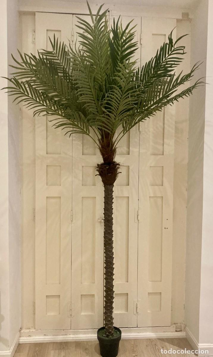 Segunda mano: Palmera Artificial. Gran Tamano - Foto 3