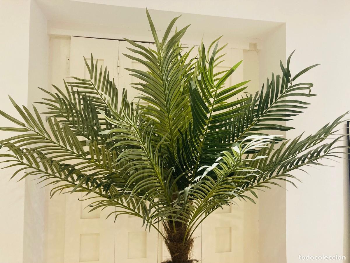 Segunda mano: Palmera Artificial. Gran Tamano - Foto 4