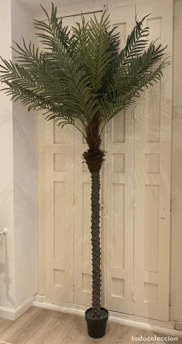 Segunda mano: Palmera Artificial. Gran Tamano - Foto 5