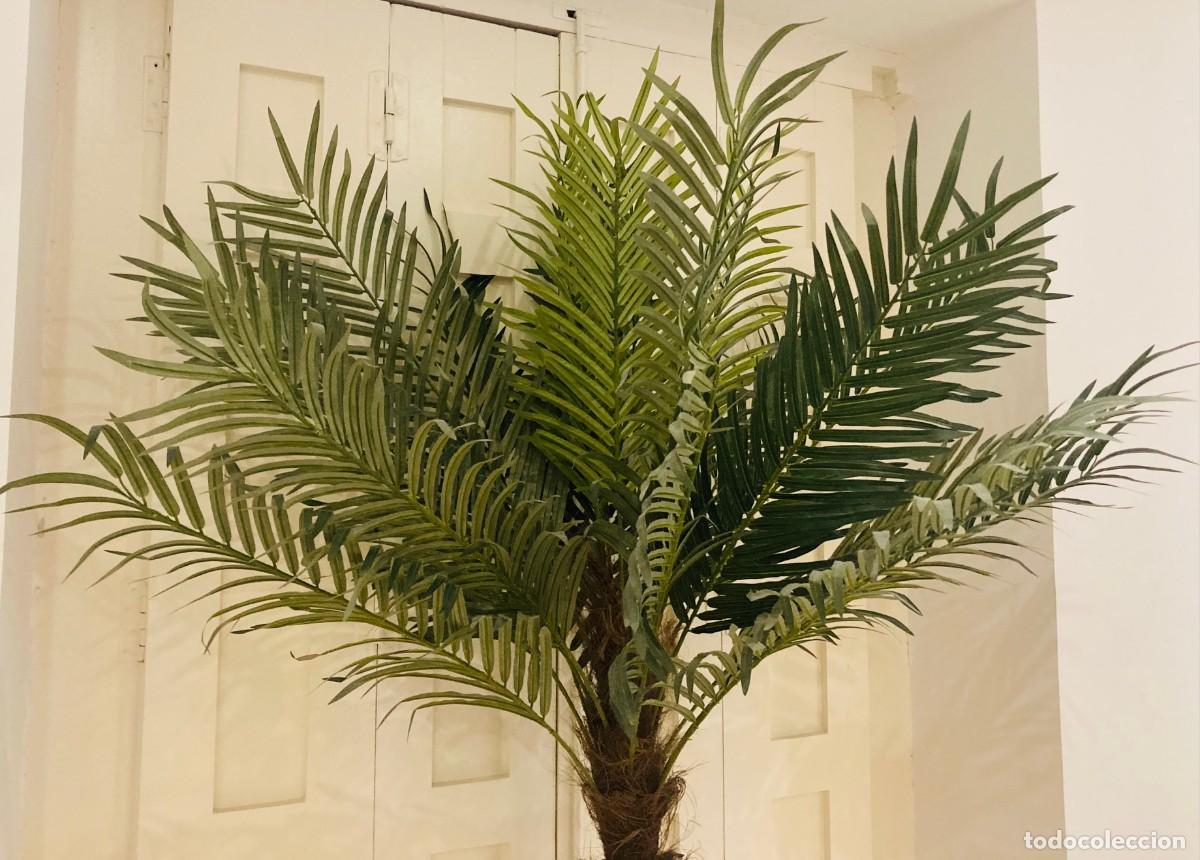 Segunda mano: Palmera Artificial. Gran Tamano - Foto 6