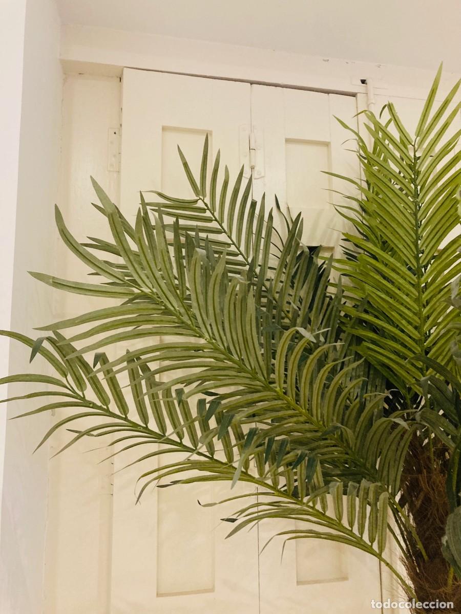 Segunda mano: Palmera Artificial. Gran Tamano - Foto 7