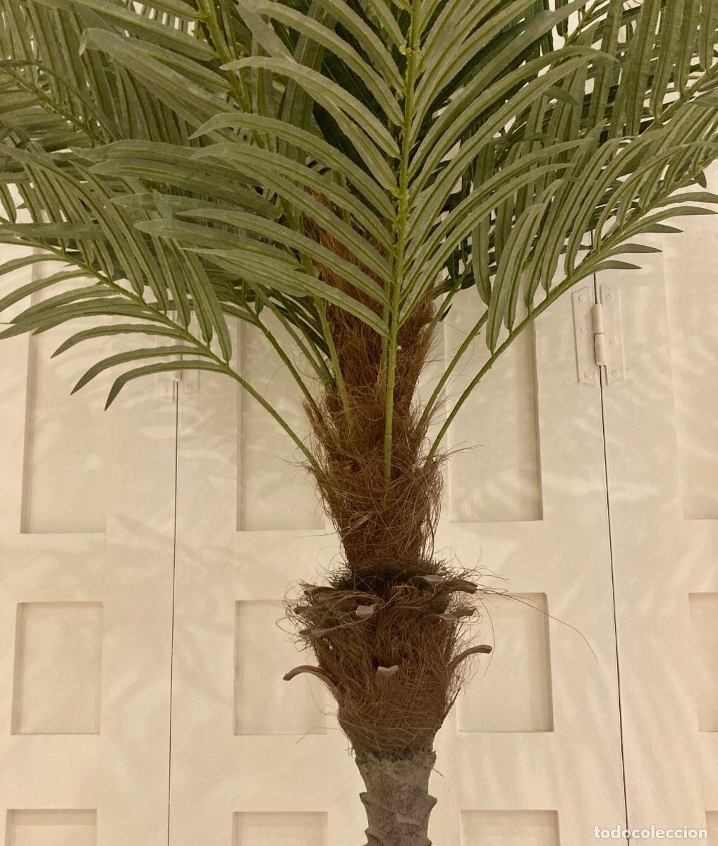 Segunda mano: Palmera Artificial. Gran Tamano - Foto 8