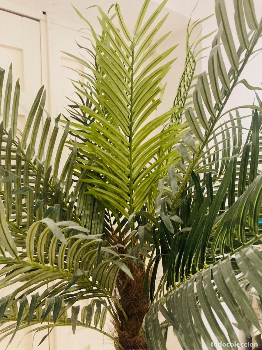 Segunda mano: Palmera Artificial. Gran Tamano - Foto 9