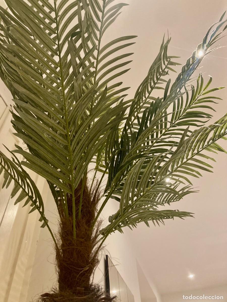 Segunda mano: Palmera Artificial. Gran Tamano - Foto 10
