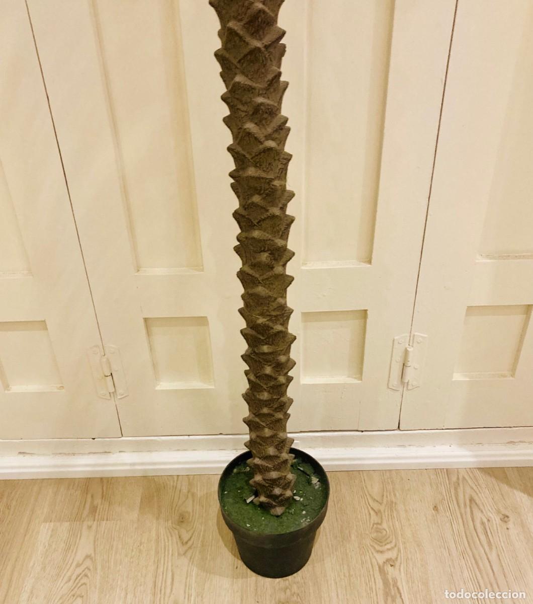 Segunda mano: Palmera Artificial. Gran Tamano - Foto 11