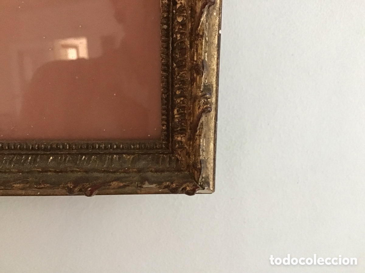 Segunda mano: Cuadro bodeg&oacute;n gatos - Foto 4