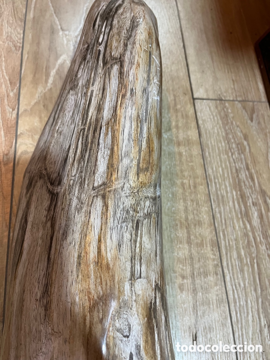 Segunda mano: F&oacute;sil de madera petrificada - Foto 2