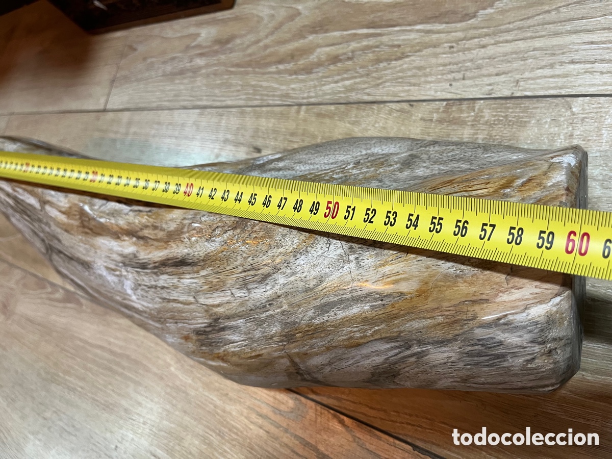 Segunda mano: F&oacute;sil de madera petrificada - Foto 5