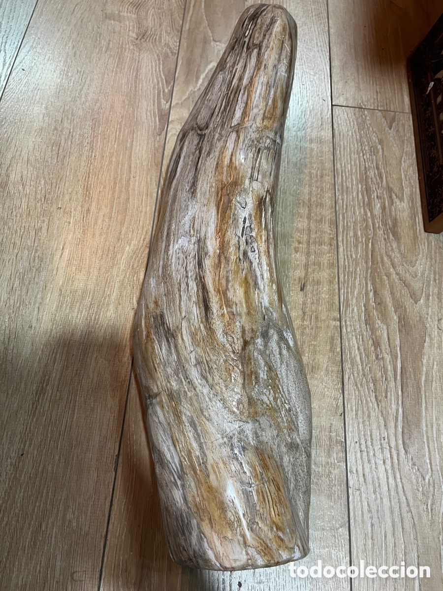 Segunda mano: F&oacute;sil de madera petrificada - Foto 1