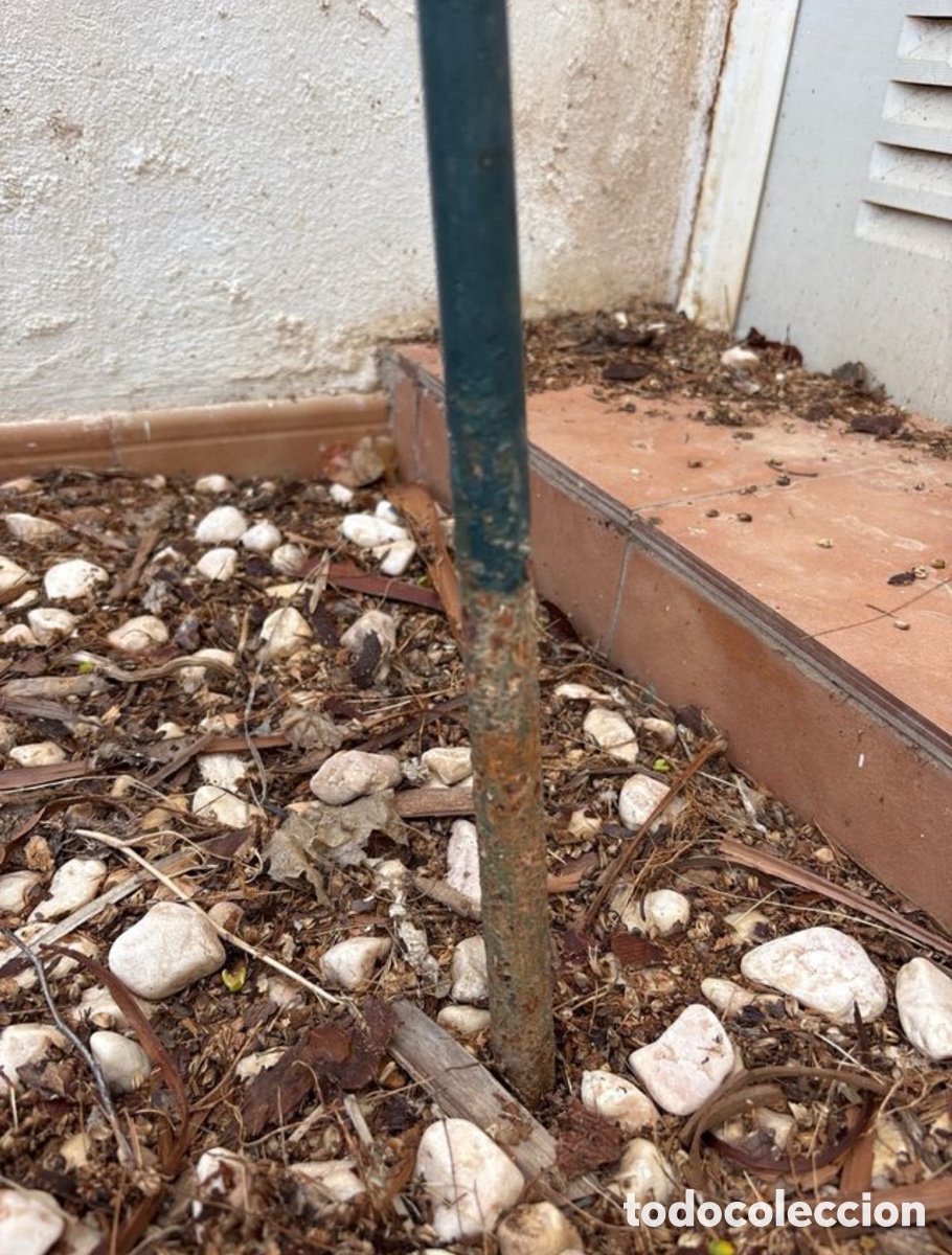 Segunda mano: Soporte para plantas trepadoras - Foto 2