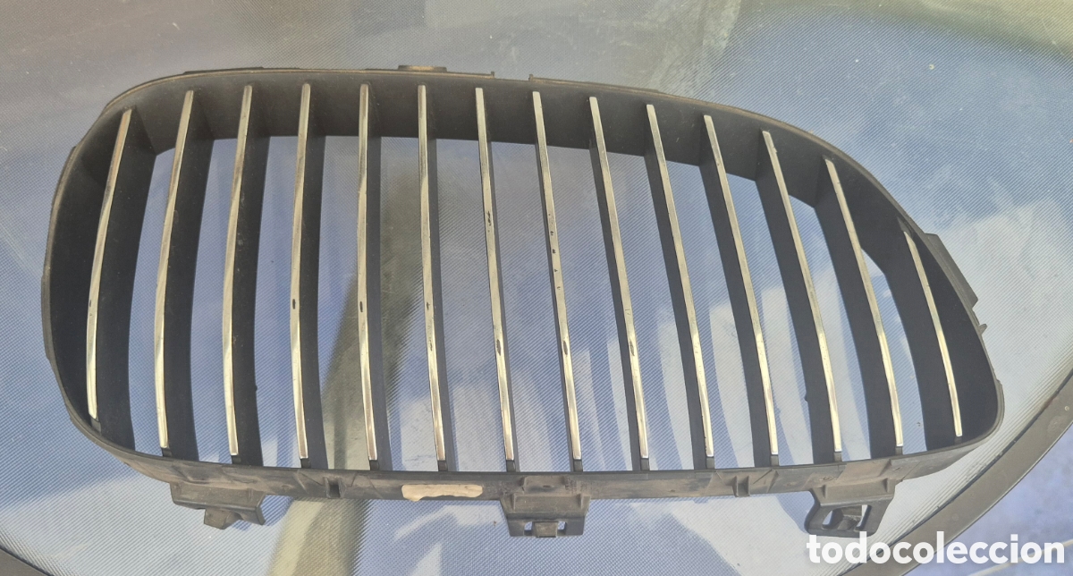 Segunda mano: Rejilla ri&ntilde;onera frontal para BMW. - Foto 1