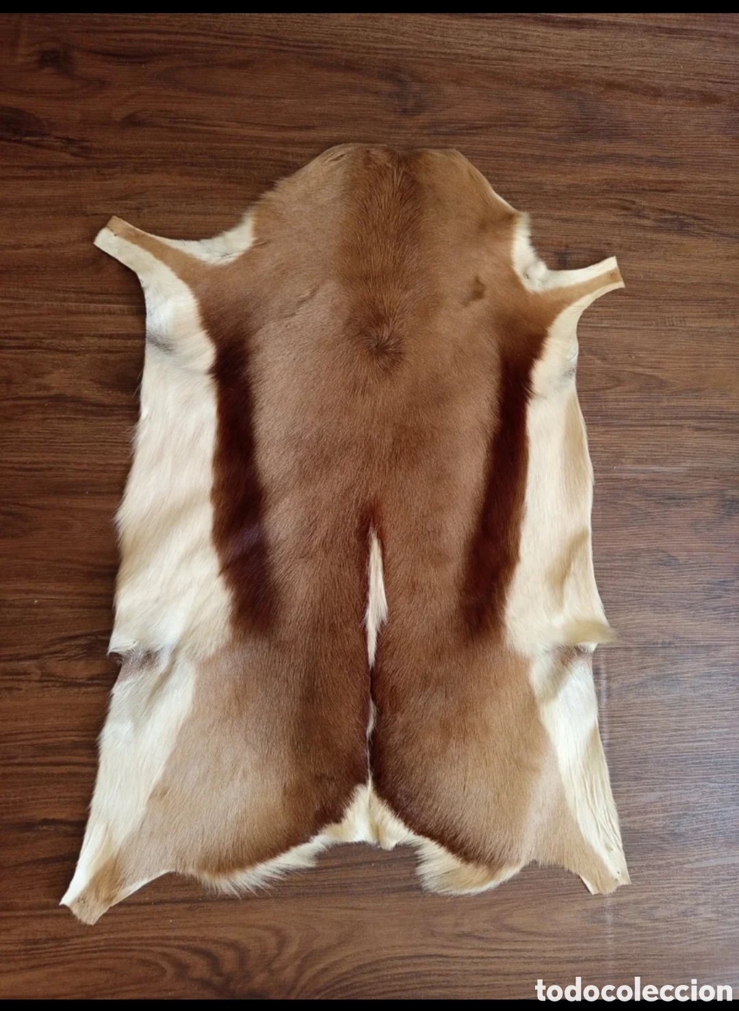 Segunda mano: Piel Impala original - Alfombra de Cuero - Foto 1