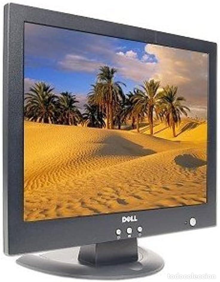 Segunda mano: Dell E151FPp monitor ** RETRO VINTAGE - Foto 1