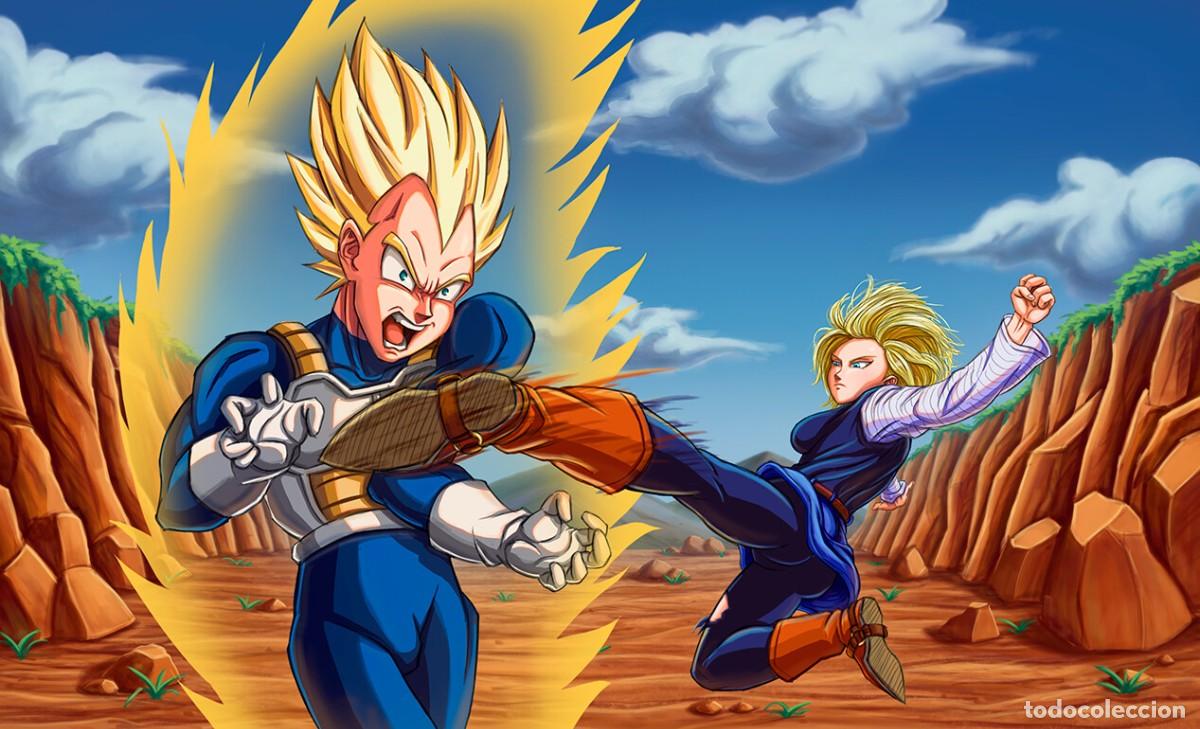 Second-Hand: DRAGON BALL &ndash; VEGETA Y ANDROIDE 18- LONA 50 X 30