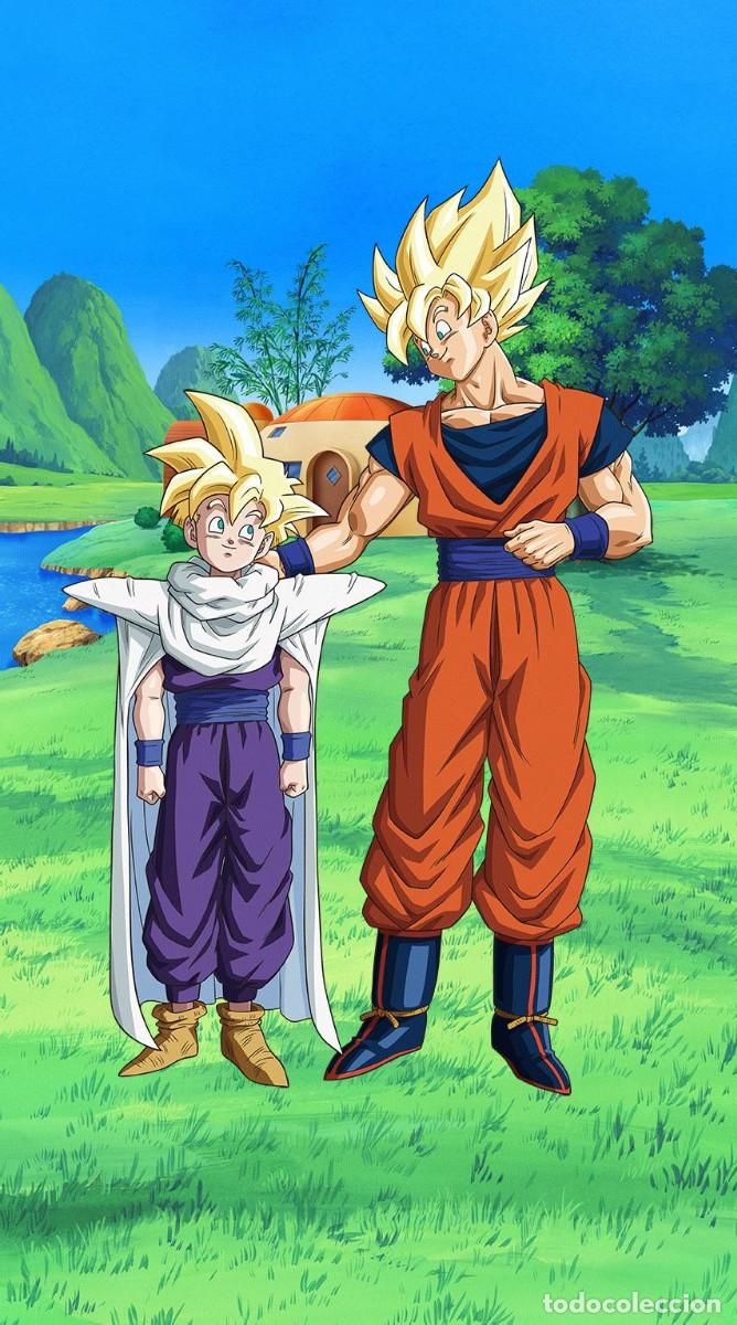 Second-Hand: DRAGON BALL &ndash; SON GOHAN Y GOKU - LONA 50 X 70