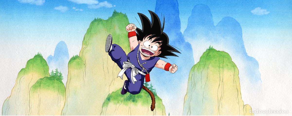 Seconda Mano: DRAGON BALL &ndash; GOKU SALTANDO EN LA MONTA&Ntilde;A - LONA 140 X 60